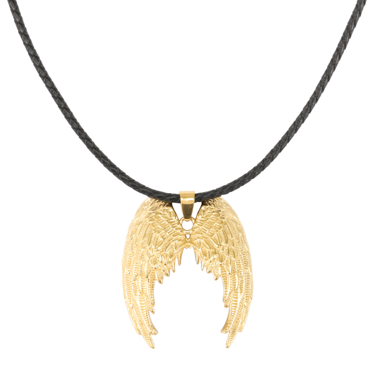 白鋼項鍊，男士項鍊 天使羽翼；展現自由與力量（3544金色）