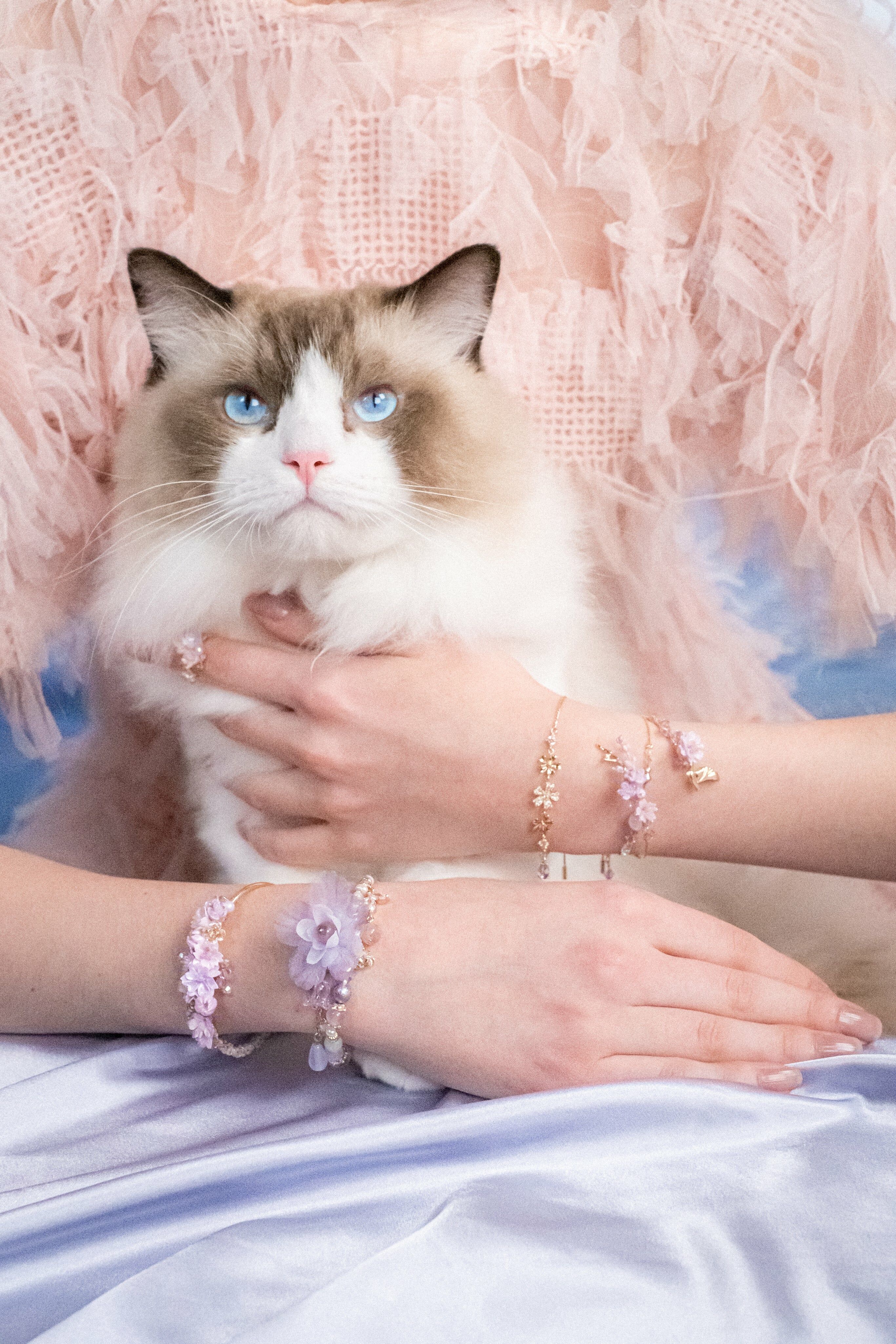 Pure Serendipity Purple Chalcedony and Fluorite Bracelet Set
