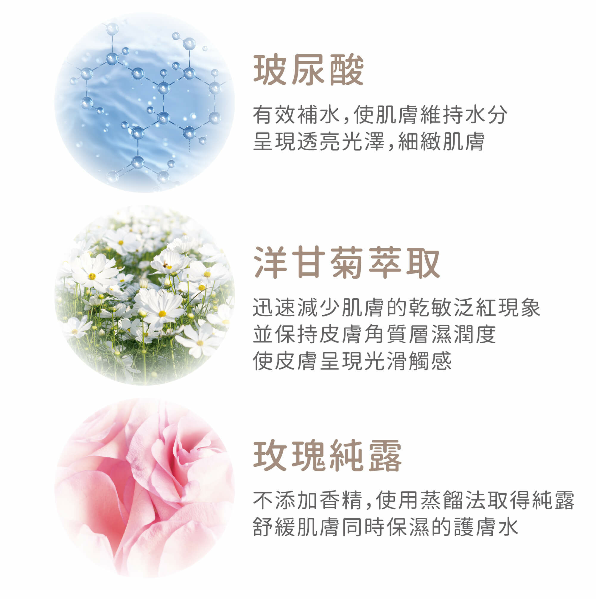 夏季保濕【輕漢方 - B5靈芝修護 瞬滲面膜】無酒精 水絲羽隱形貼 - 面膜/凍膜/泥膜 - 其他材質 白色