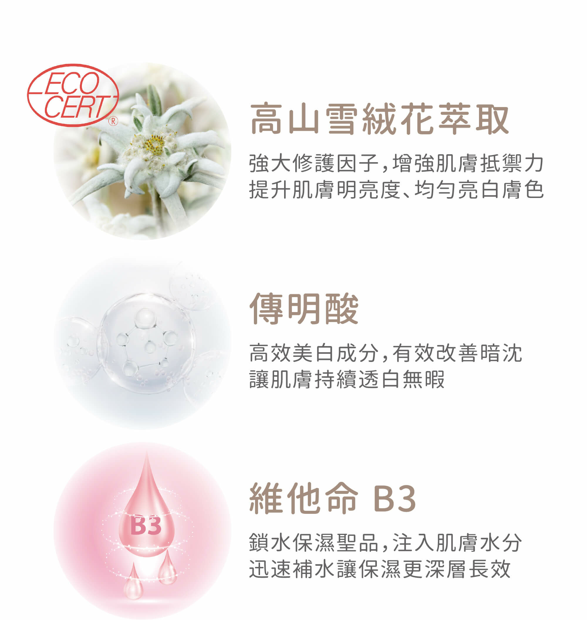 夏季保濕【輕漢方 - B5靈芝修護 瞬滲面膜】無酒精 水絲羽隱形貼 - 面膜/凍膜/泥膜 - 其他材質 白色