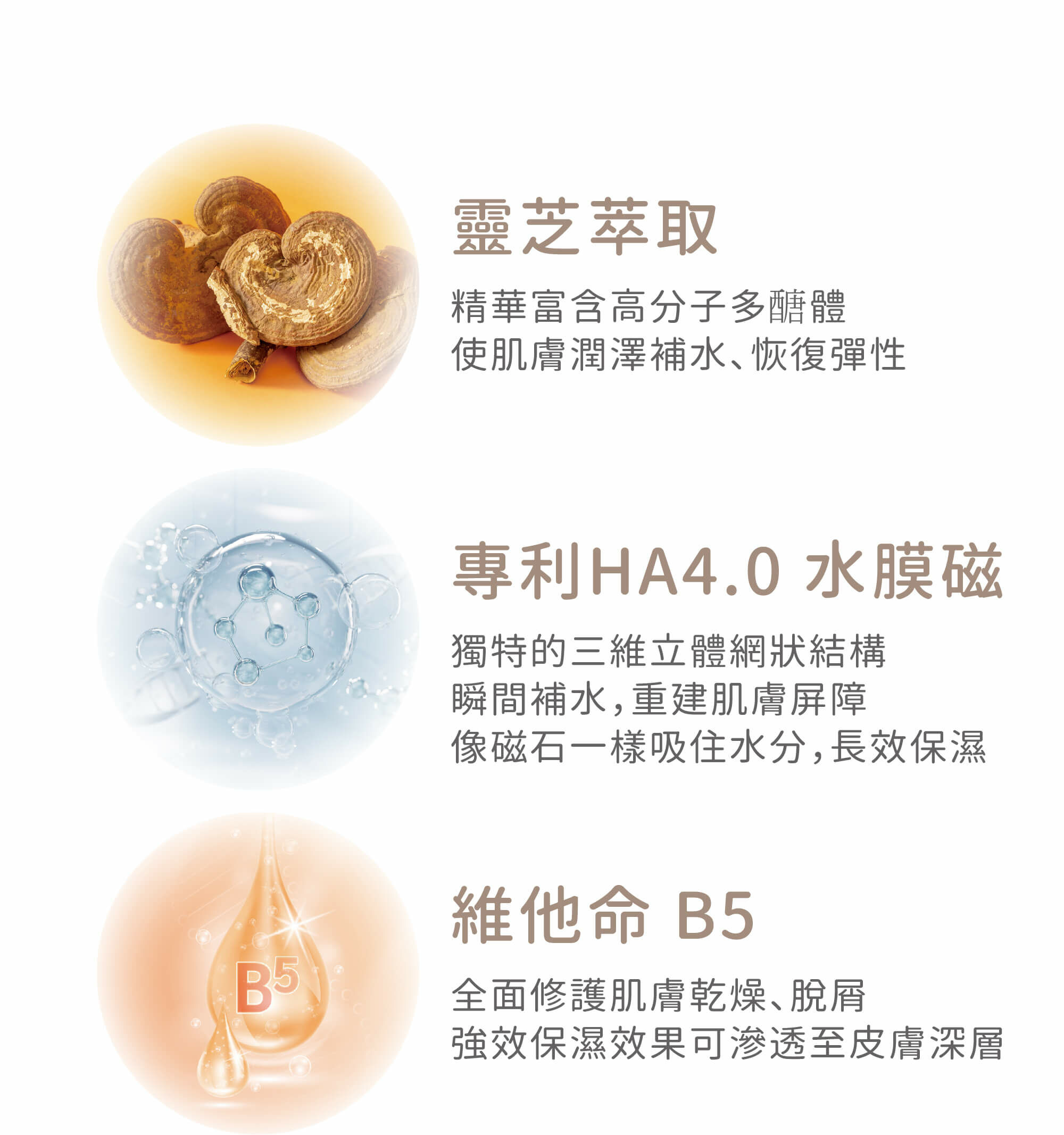 夏季保濕【輕漢方 - B5靈芝修護 瞬滲面膜】無酒精 水絲羽隱形貼 - 面膜/凍膜/泥膜 - 其他材質 白色