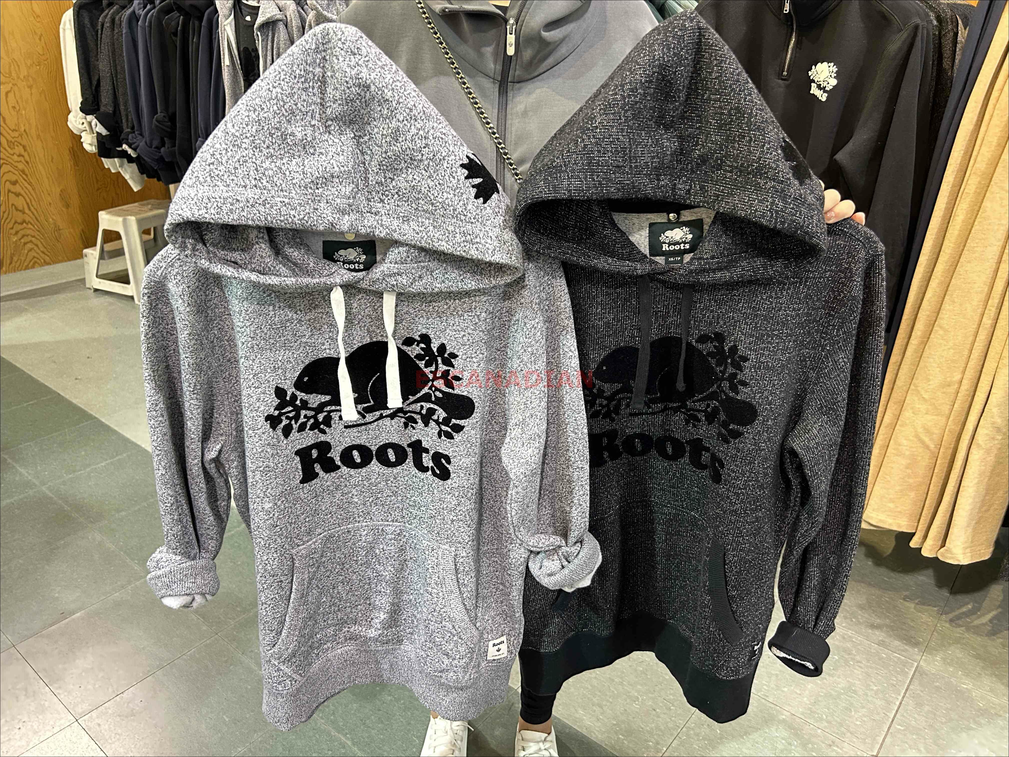 ROOTS 男大人 有機棉 經典款 海狸 刷毛 帽TEE (2色)