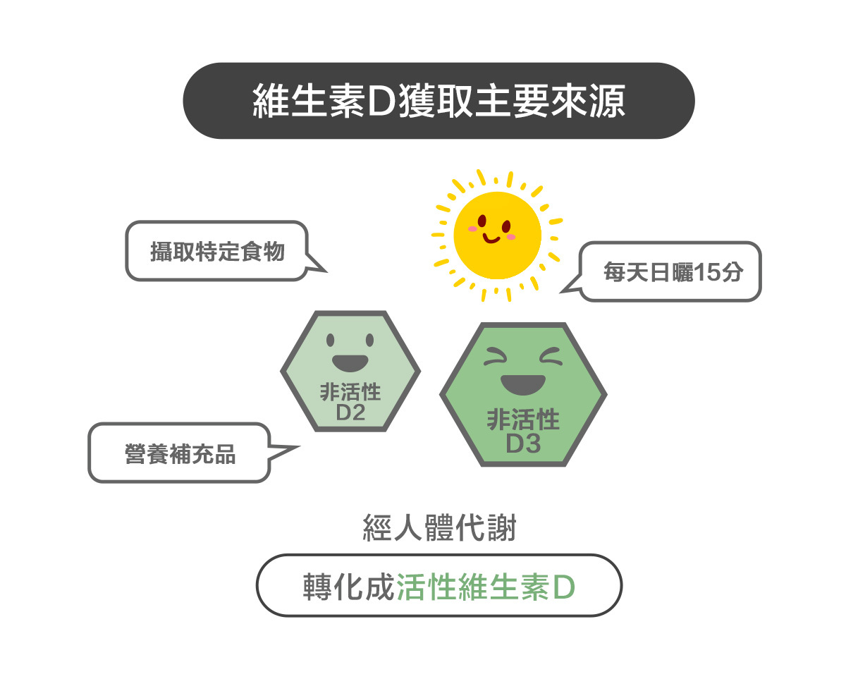 維生素D主要來源