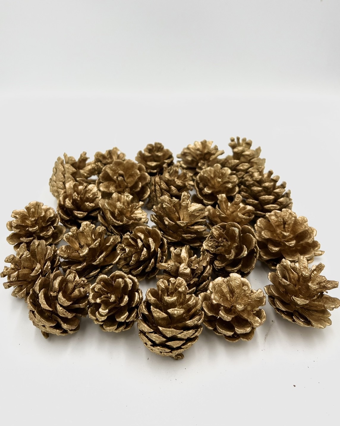 染金松果4-5公分(包)