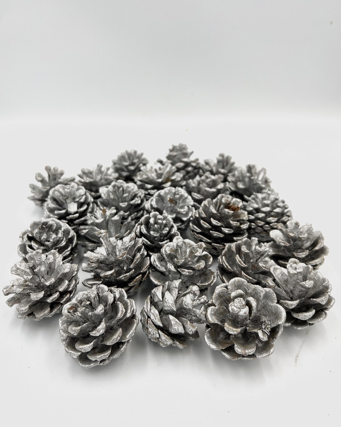 染銀松果4-5公分(包)