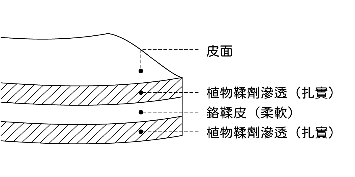 半植鞣縱切面,半植鞣,植鞣半植鞣差別