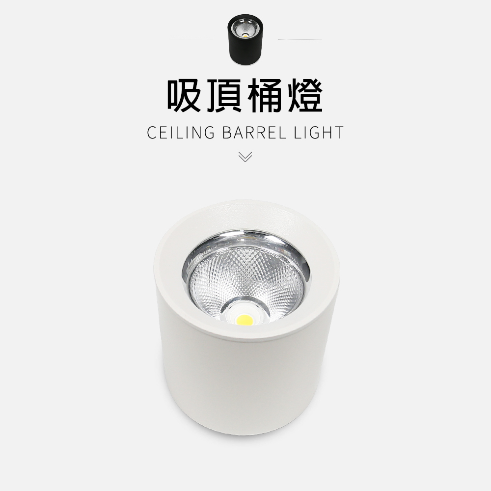 吸頂筒燈 25W