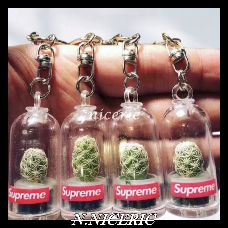 [Nice日韓歐美代購］Supreme 獨家❗️ 真仙人掌球supreme創意鑰匙圈 底下有洞可以加水