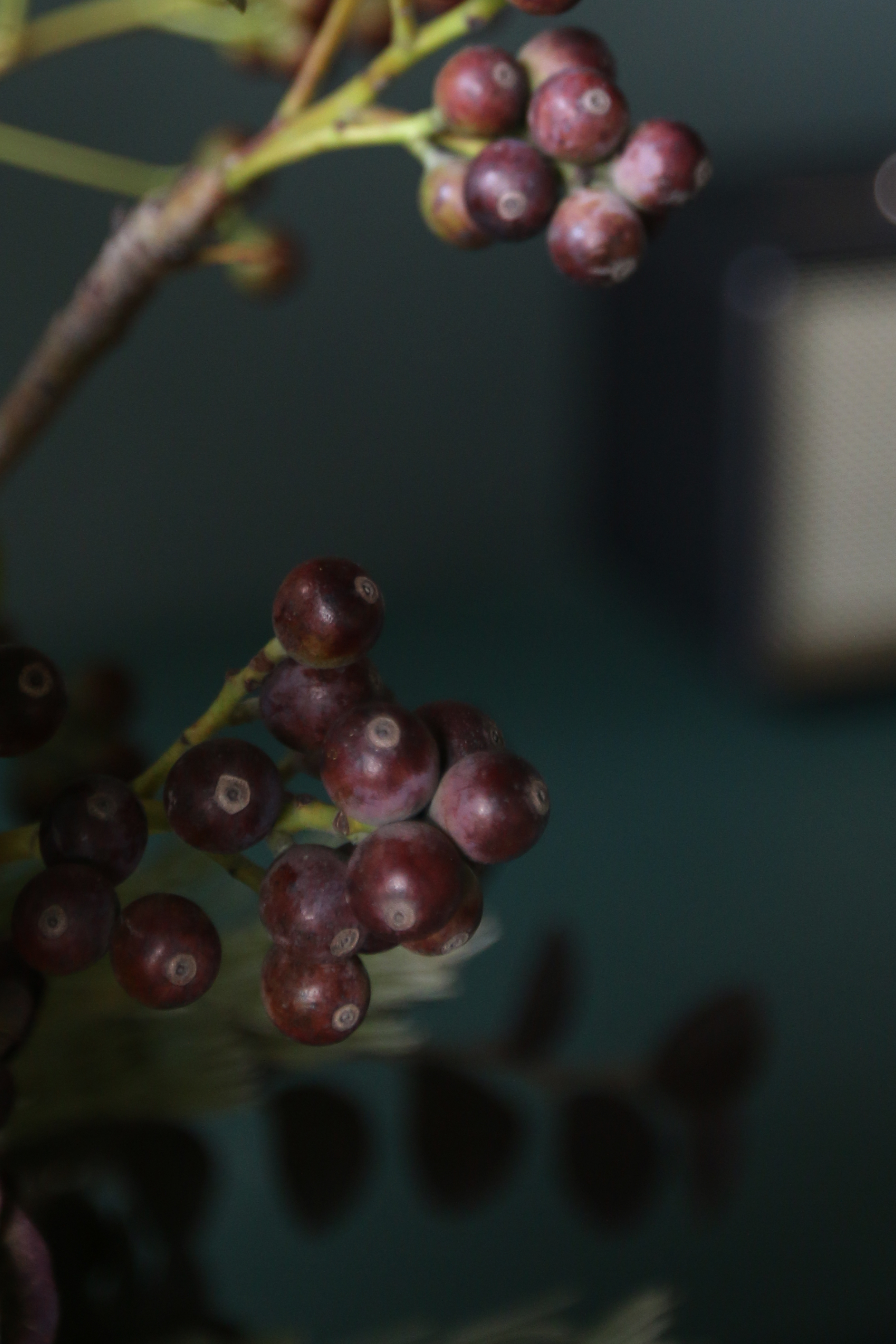 Moore · 藝術花柱 畫廊開幕