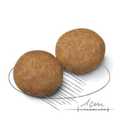 Royal Canin Medium Adult M25．4kg/15kg