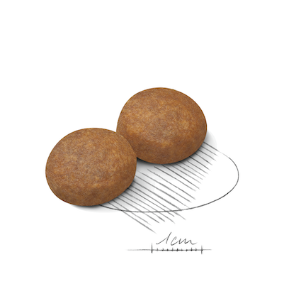 Royal Canin Maxi Adult 5+ SGR26．15kg