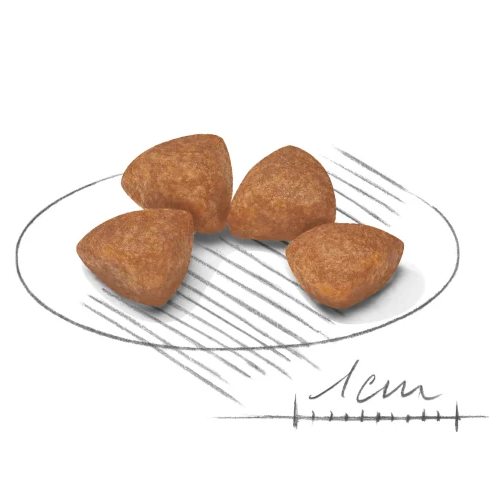 Royal Canin SHN X-Small Junior XSP．1.5kg