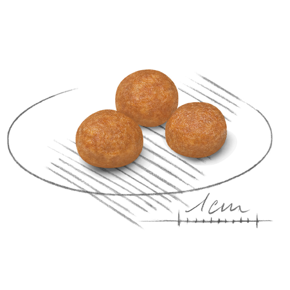 Royal Canin X-Small Adult XSA．1.5kg/3.5kg