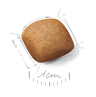 Royal Canin BHN Dog Shiba Ina Adult 4kg