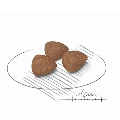 Royal Canin Mini Indoor Puppy ILJ 1.5kg/3kg