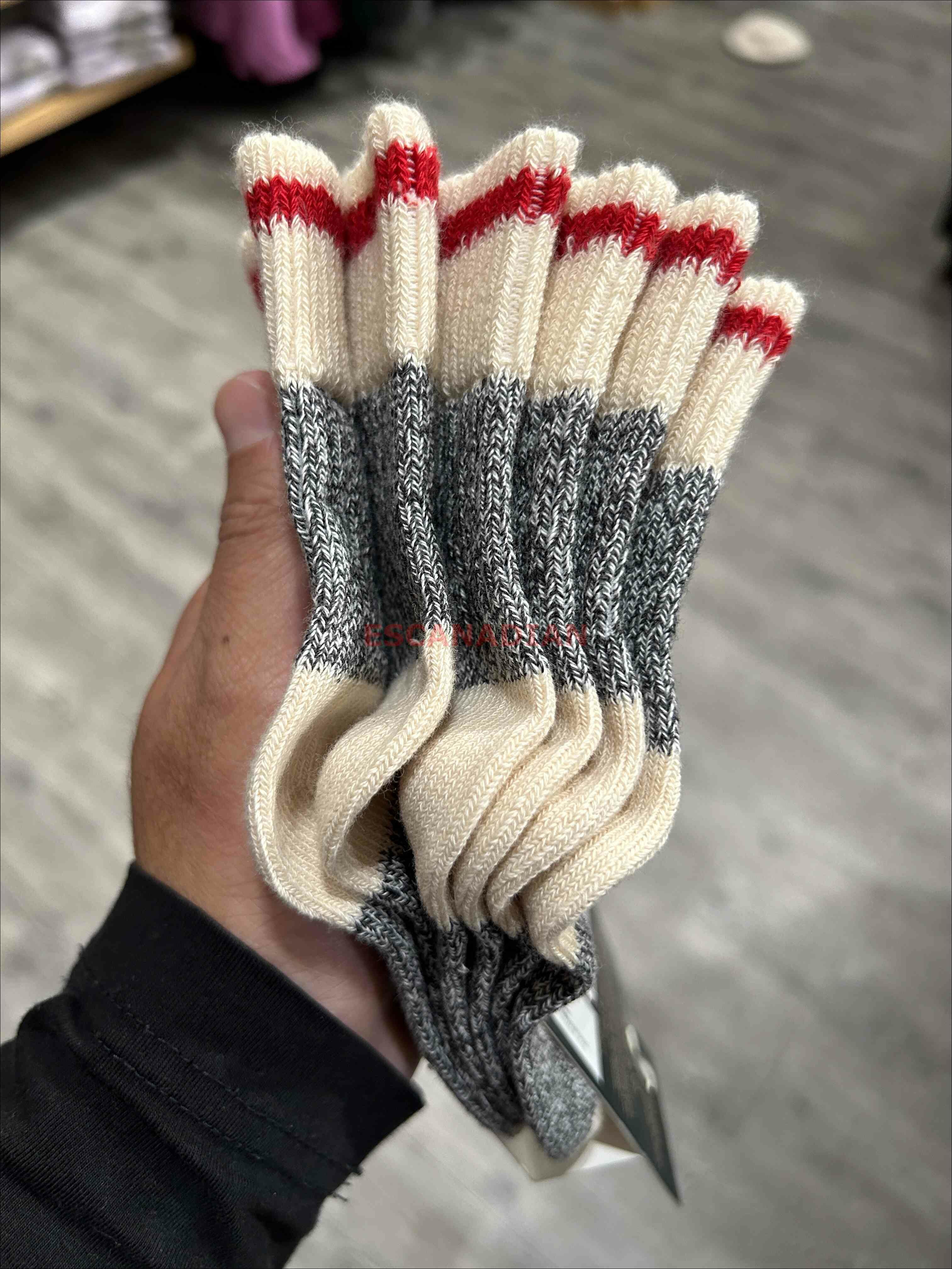 ROOTS 大童裝 小木屋系列 經典配色 襪子 (3雙一組)