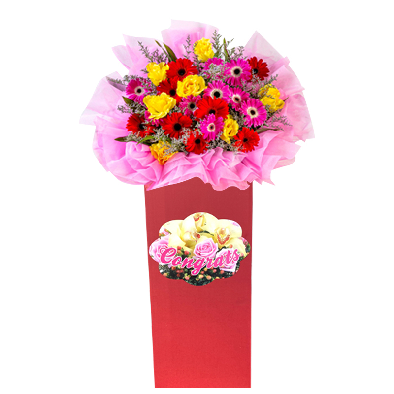 HCB77 ⭐⭐⭐⭐⭐member discount