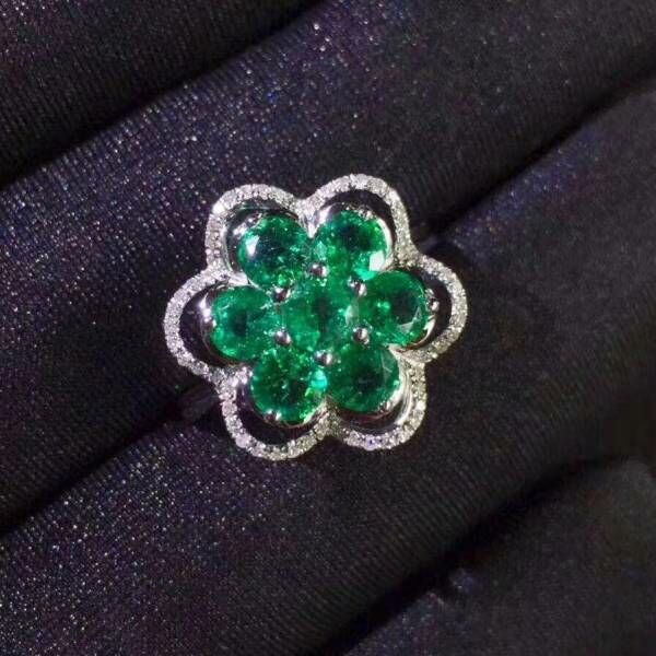 哥倫比亞祖母綠 套組