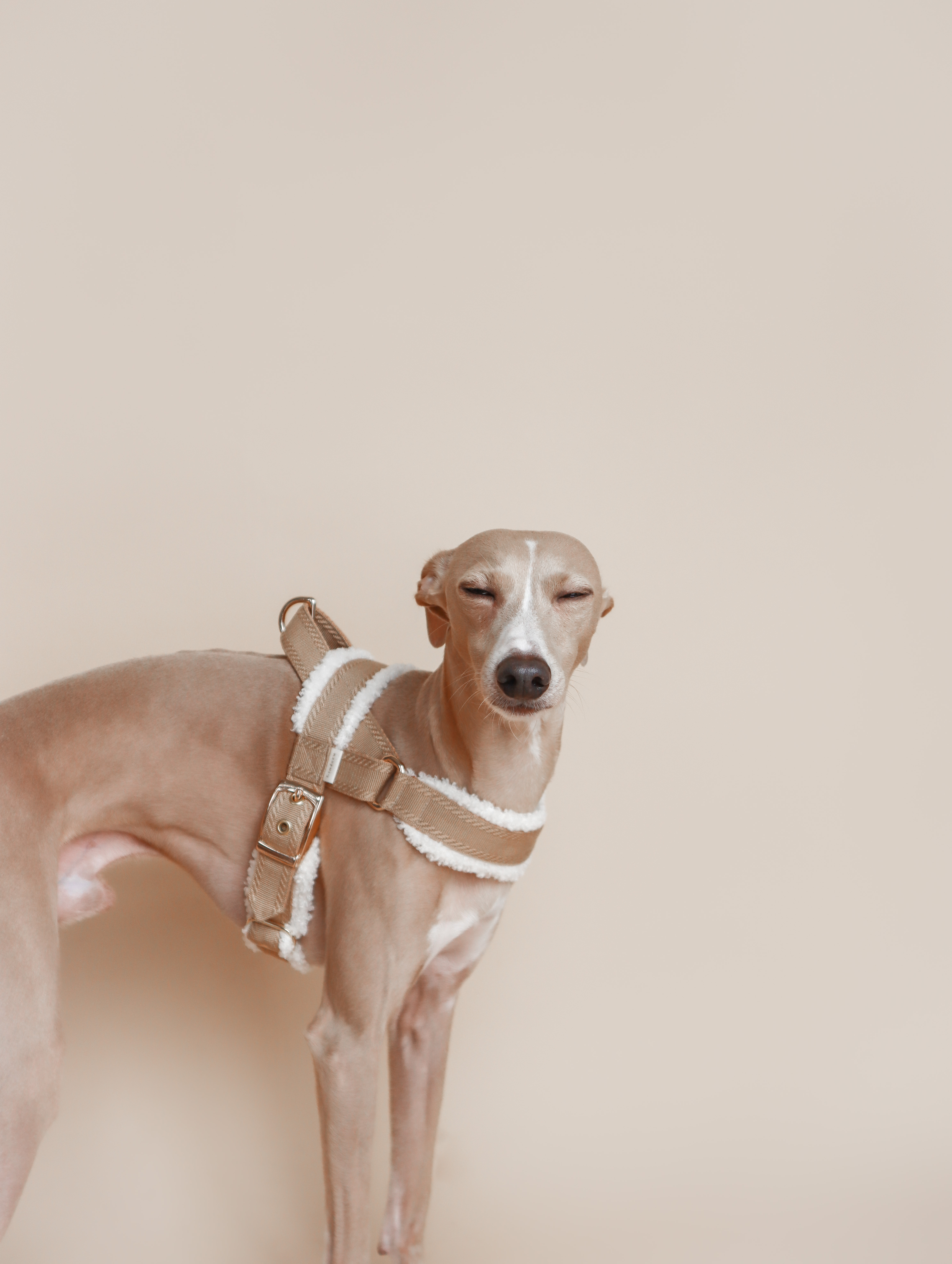 LINÉCRU｜Å 絨毛胸背 (咖)