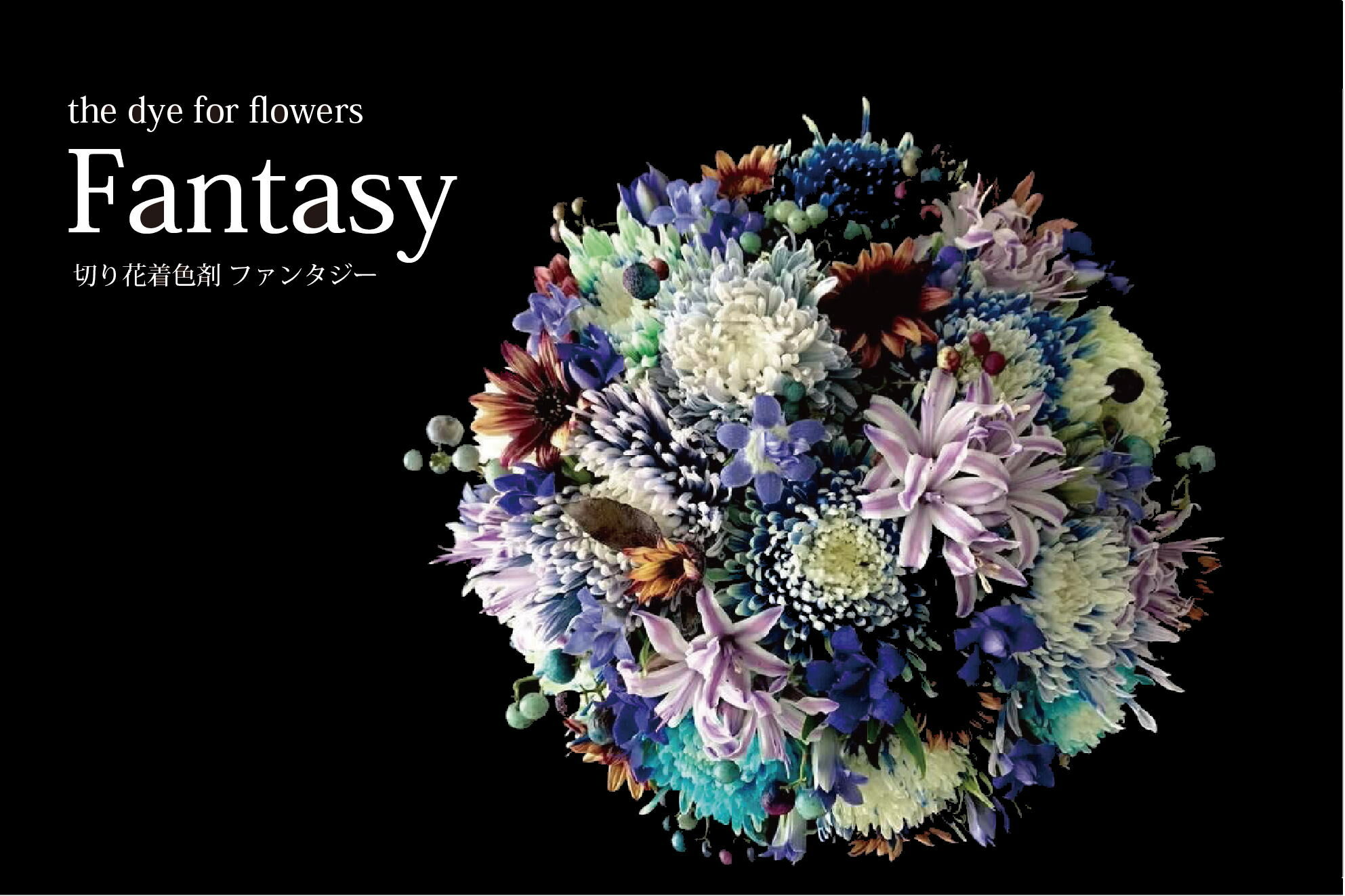 日本Fantasy 切花著色劑 (1公升)