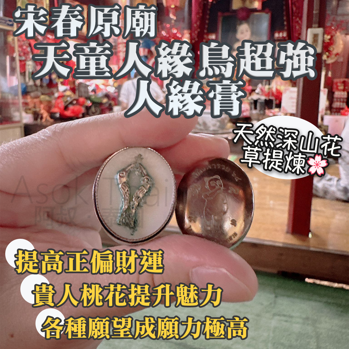 宋春原廟 天童人緣鳥超強人緣膏