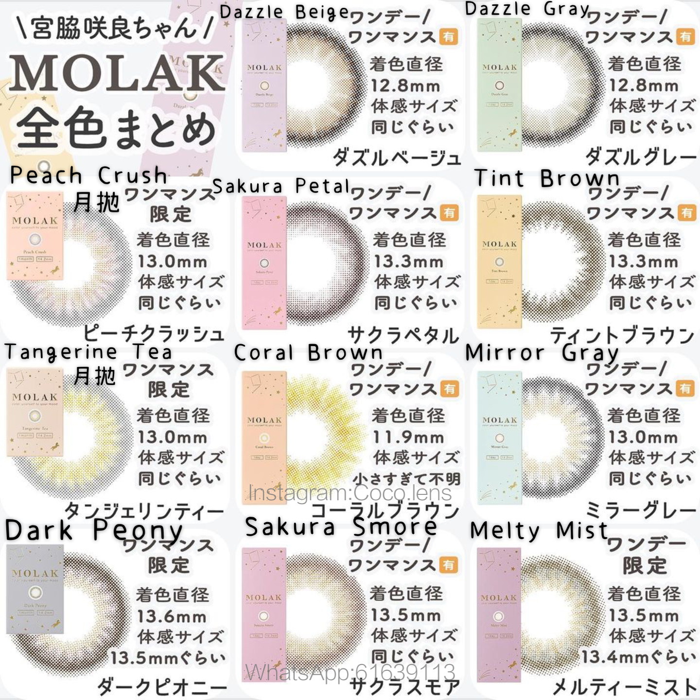 Molak Day10P Dream Gray