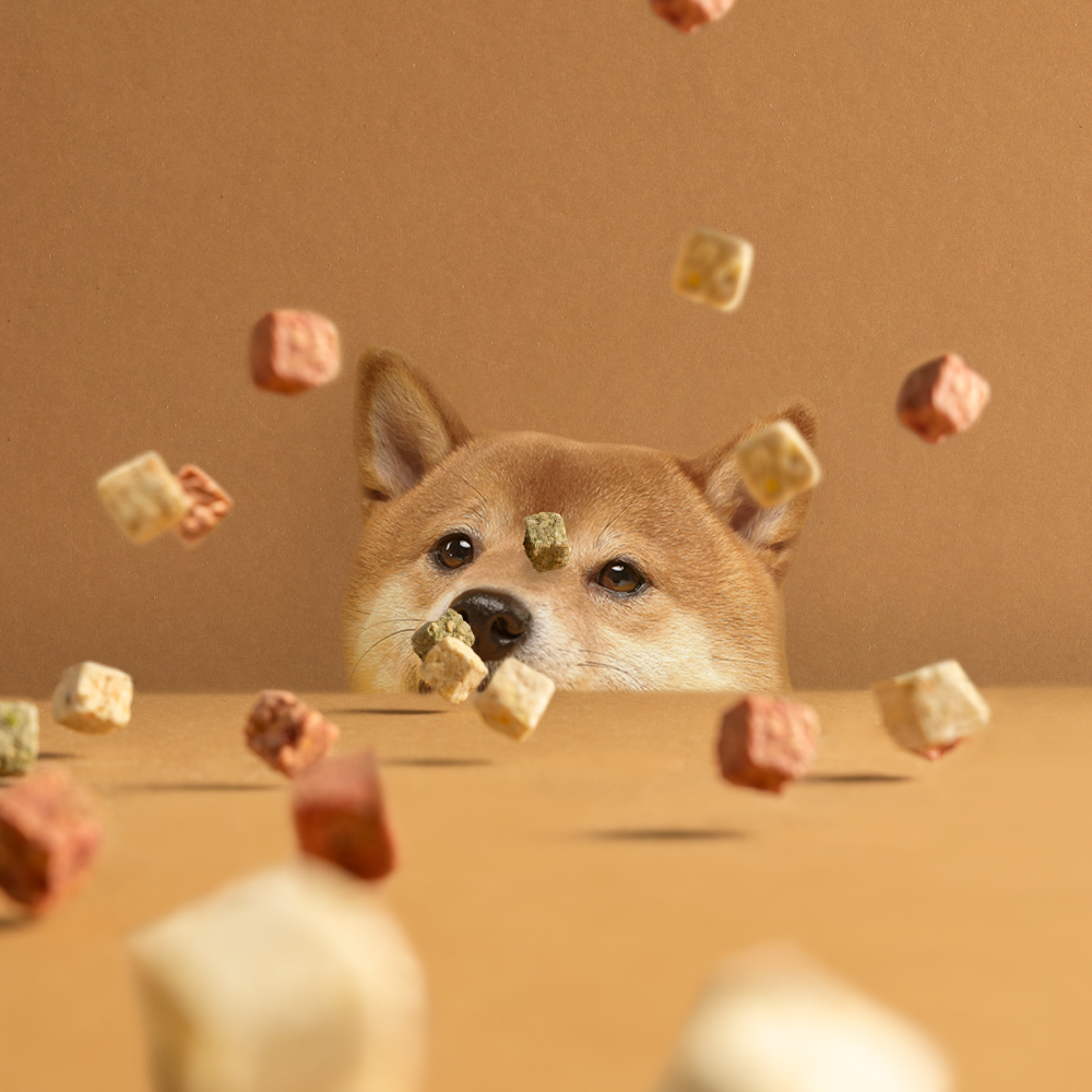 犬 ｜ CUBE纖維零食