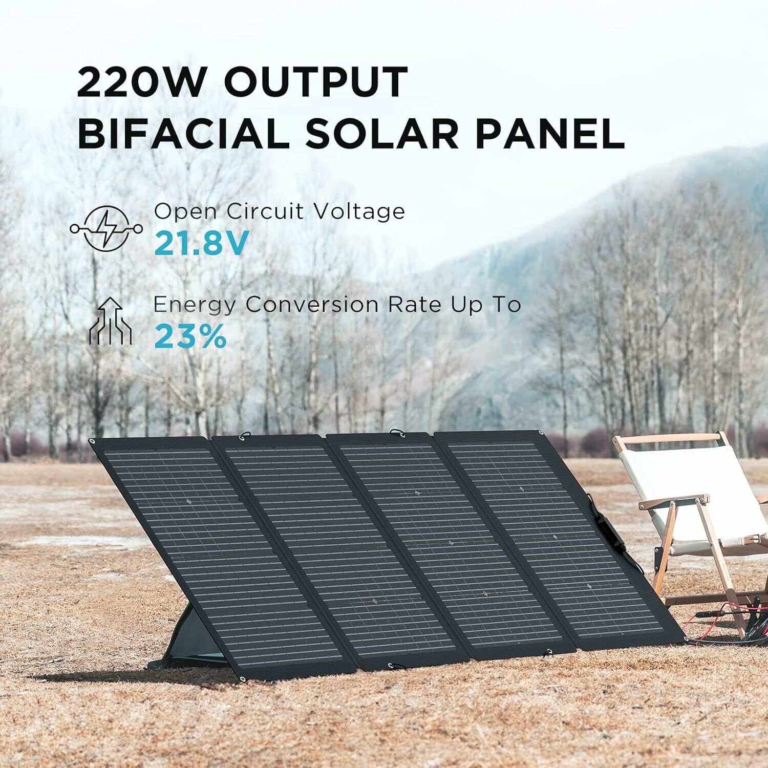 ECOFLOW 220W Bifacial Foldable Solar Panel 太陽能充電板 香港行貨