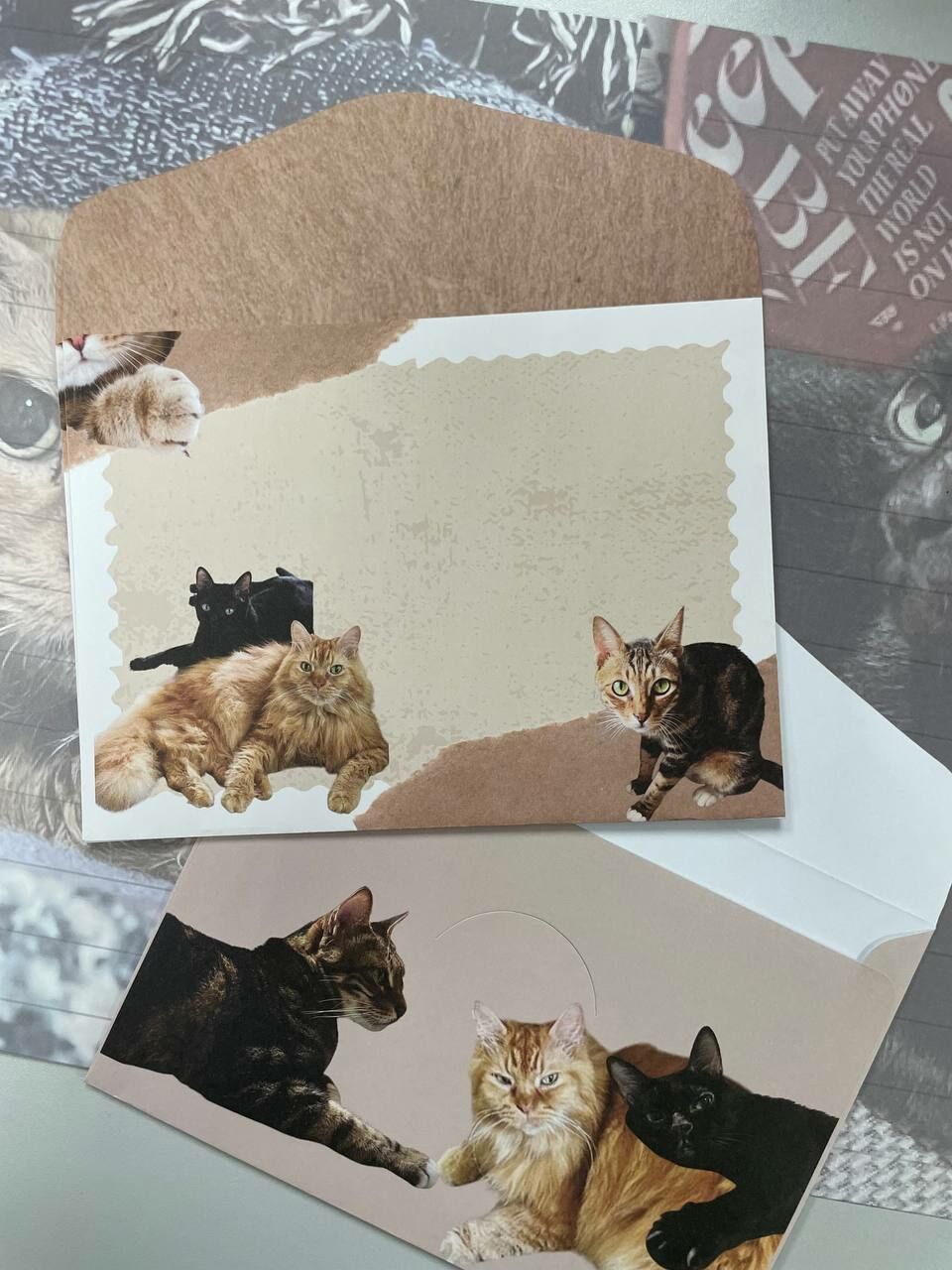 手足寄賣 ｜三隻寶貝等你放學！信封信紙套裝