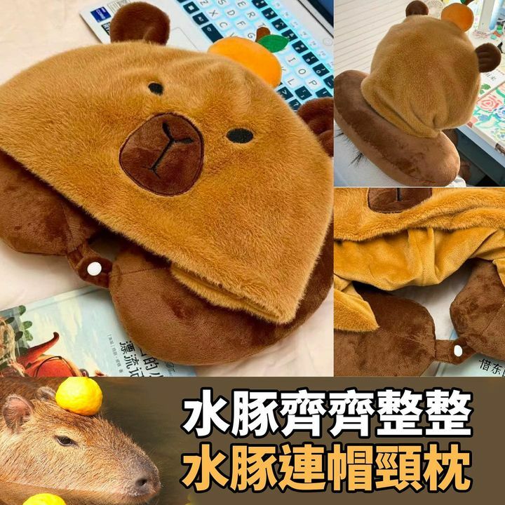 水豚連帽頸枕