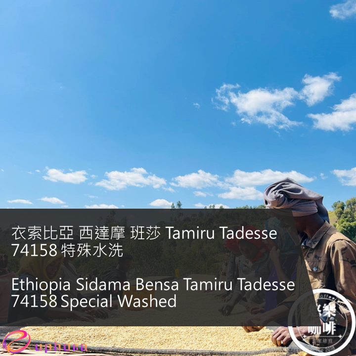 衣索比亞 西達摩 班莎 Tamiru Tadesse 74158 特殊水洗