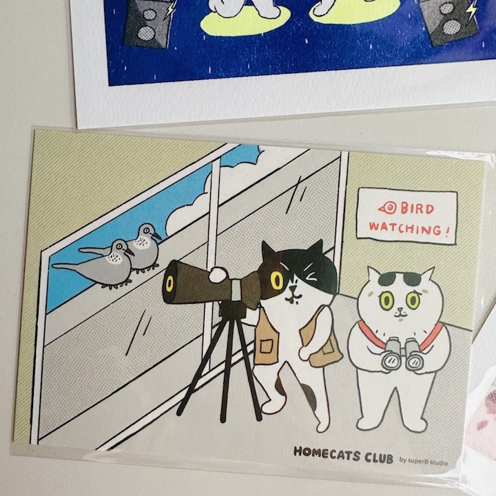 BIRD WATCHING 明信片｜superB studio