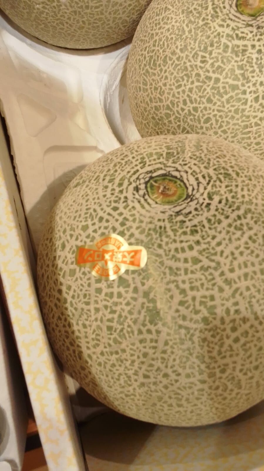 Bless-Fruit-日本赤肉蜜瓜