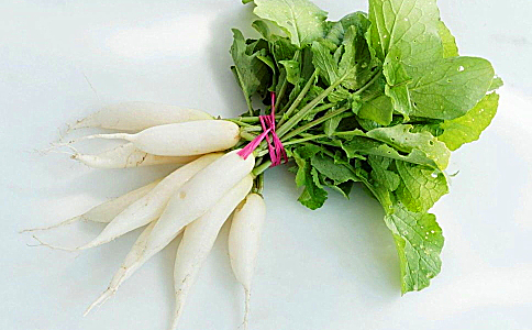 Local OrganicBaby Chinese Radish (CATTY)