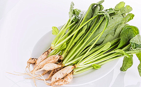 Local OrganicBaby Chinese Radish (CATTY)