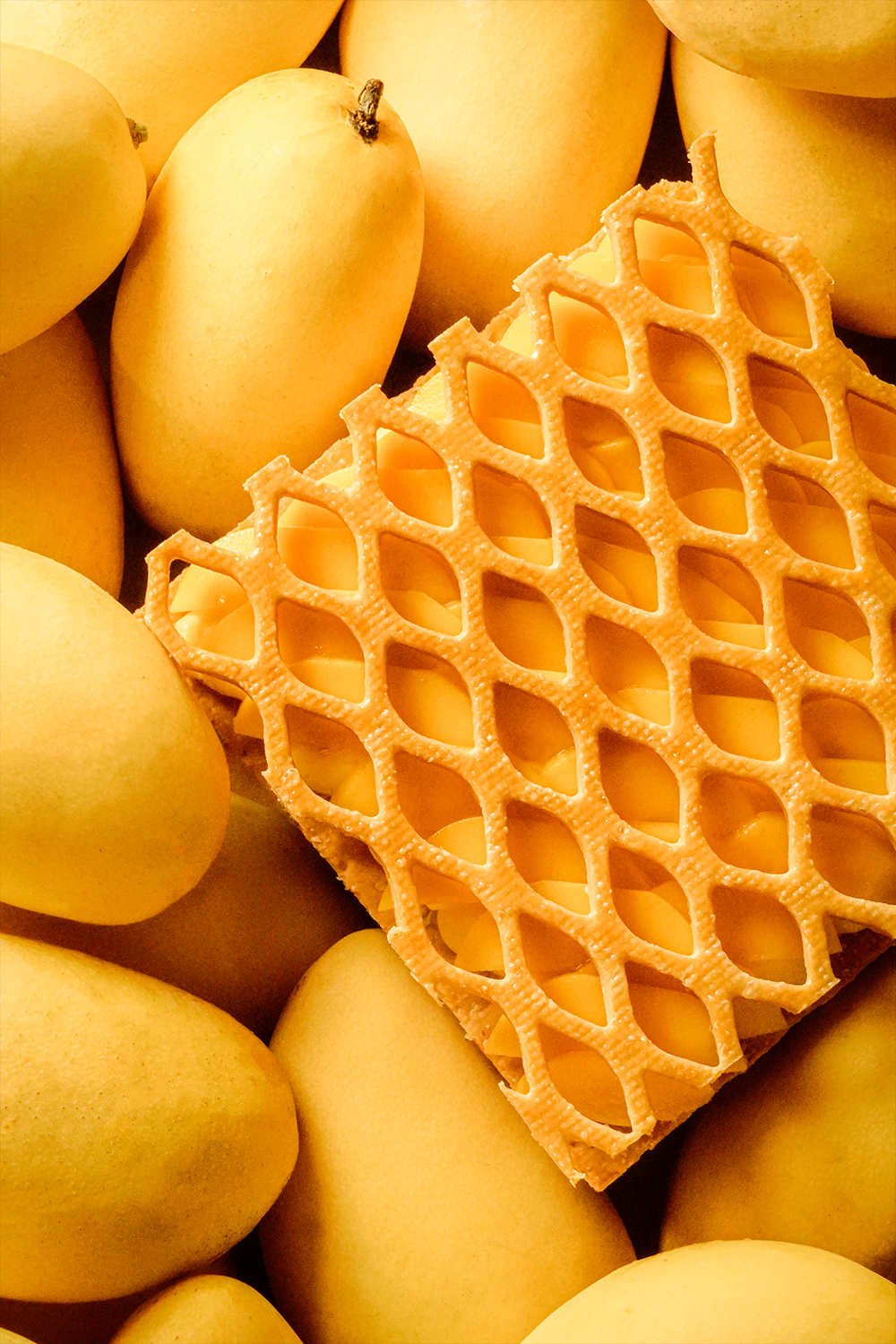 『 芒果 』 網格拿破崙 (15 & 20cm)