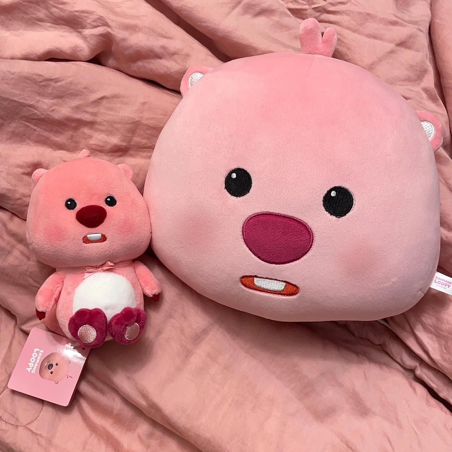🇰🇷 LOOPY 韓國限定 露比 小海貍 玩偶 抱枕 吊飾 正版周邊 / 預購