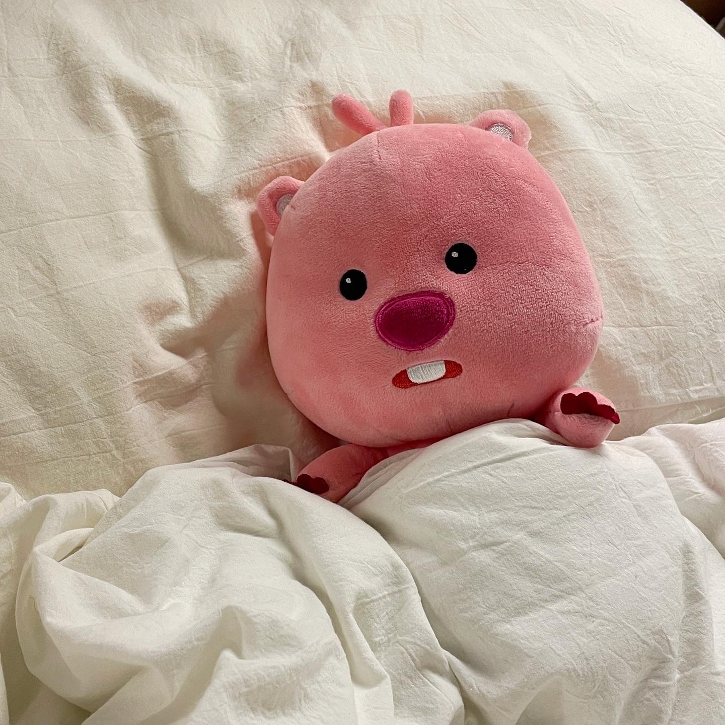 🇰🇷 LOOPY 韓國限定 露比 小海貍 玩偶 抱枕 吊飾 正版周邊 / 預購