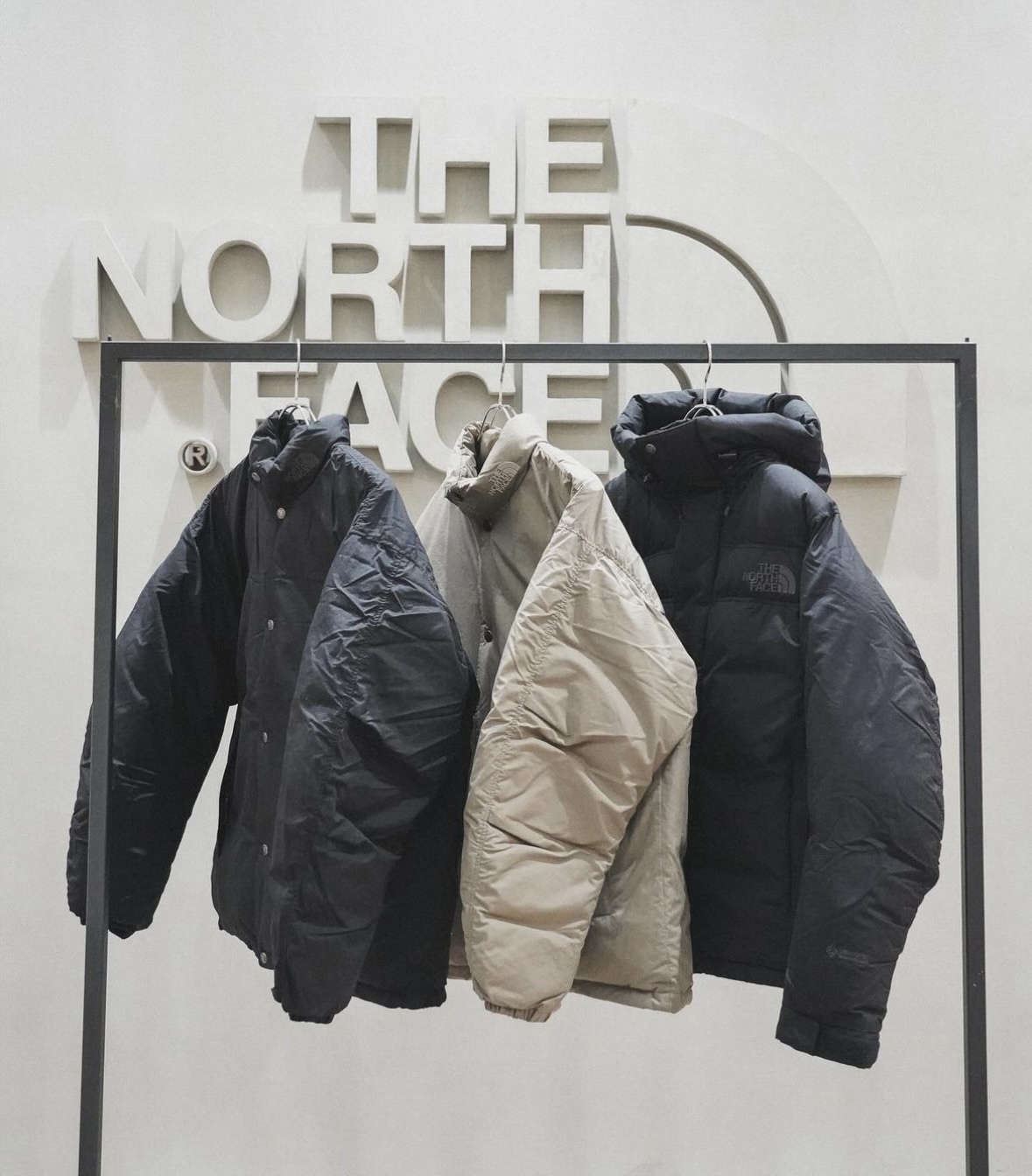 預購┃日本TNF 男女共版Alteration Sierra Jacket MA1 防潑水羽絨外套