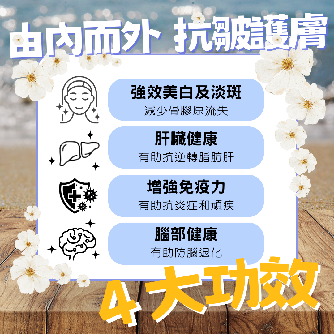 ULTRABSORB Formula - T3 Tocotrienol 維他命E (1套3盒) 每盒 30 粒
