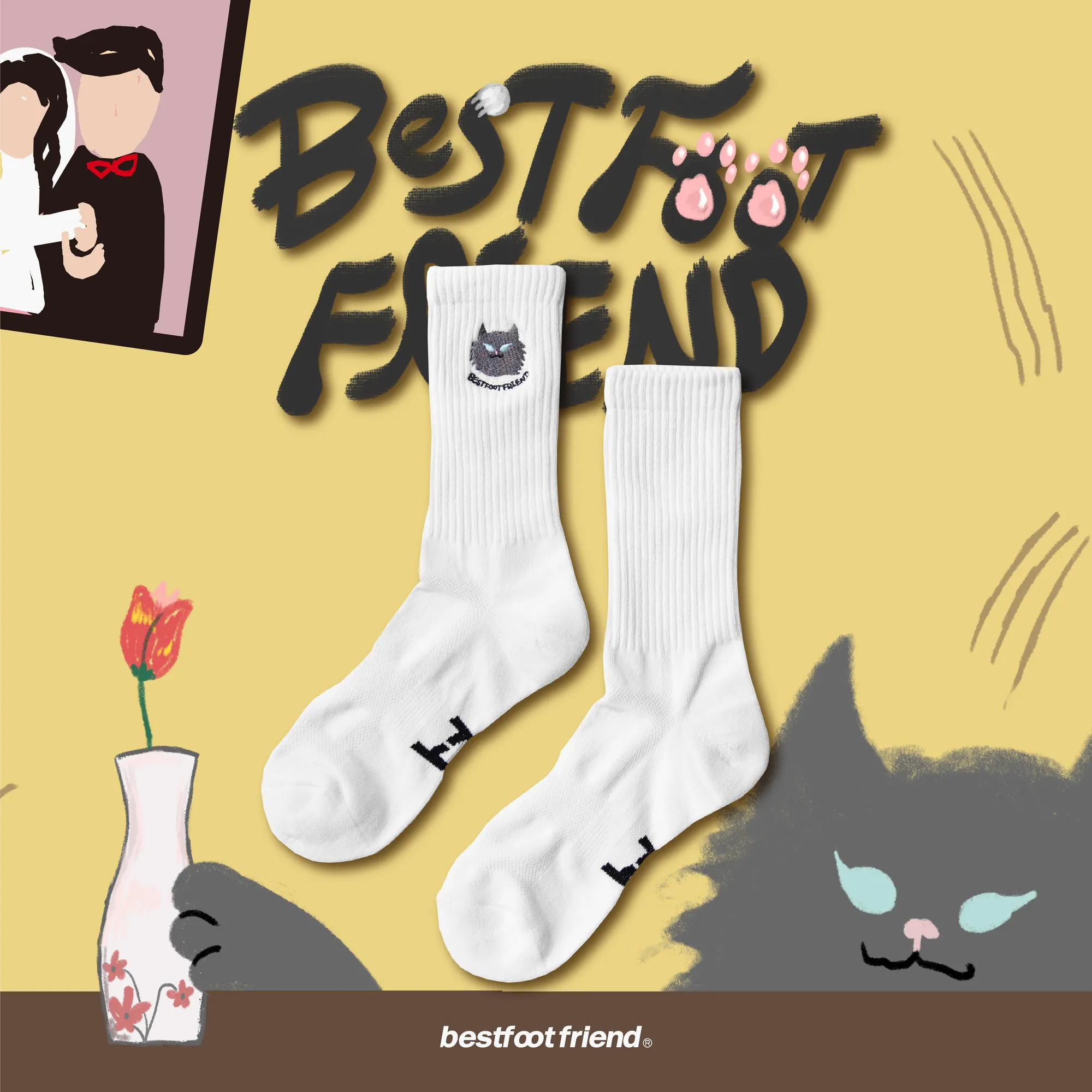 BFF Lord Cat 兩款 BF23013