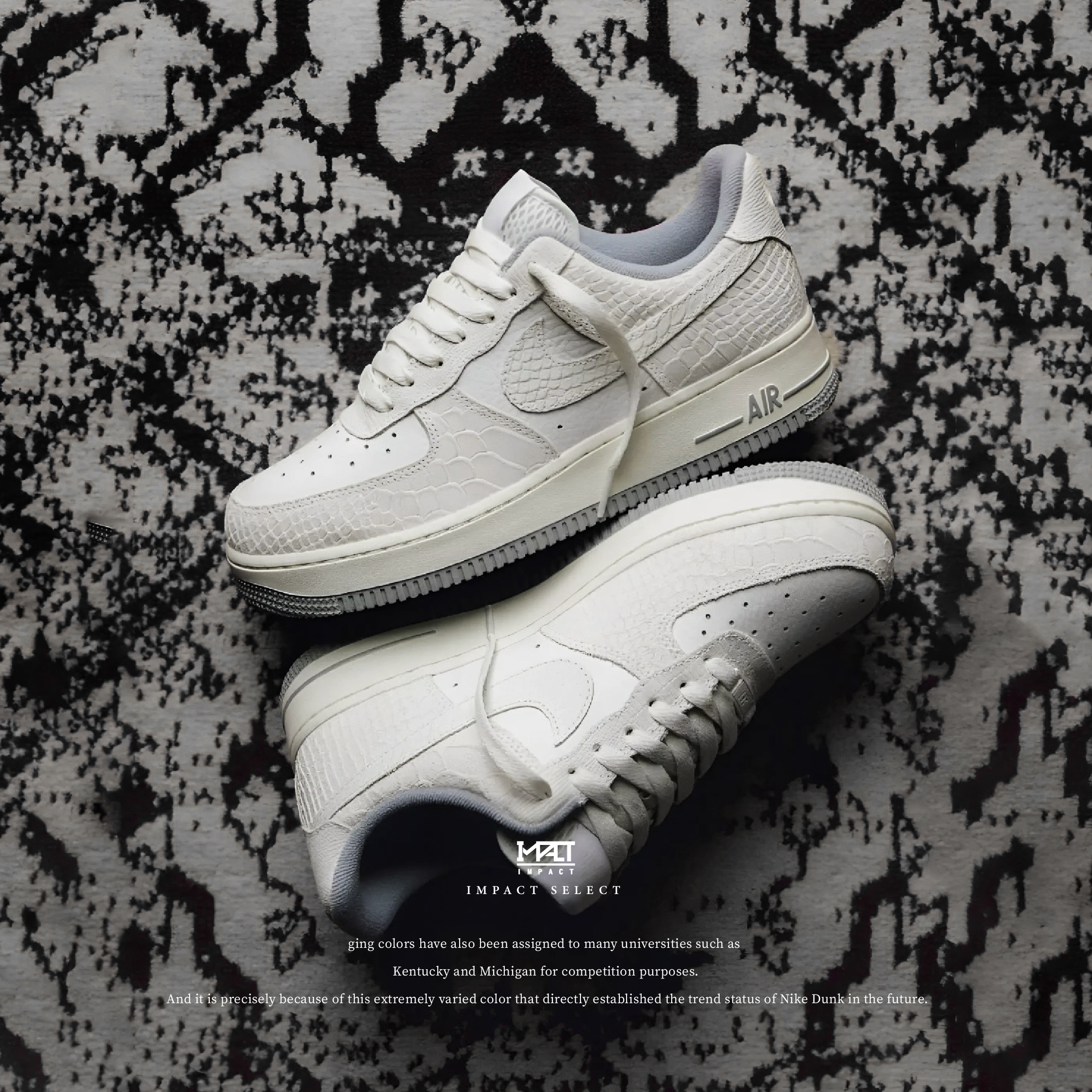 Nike Air Force 1 Low 白蟒骨白蛇鱗DX2678-100