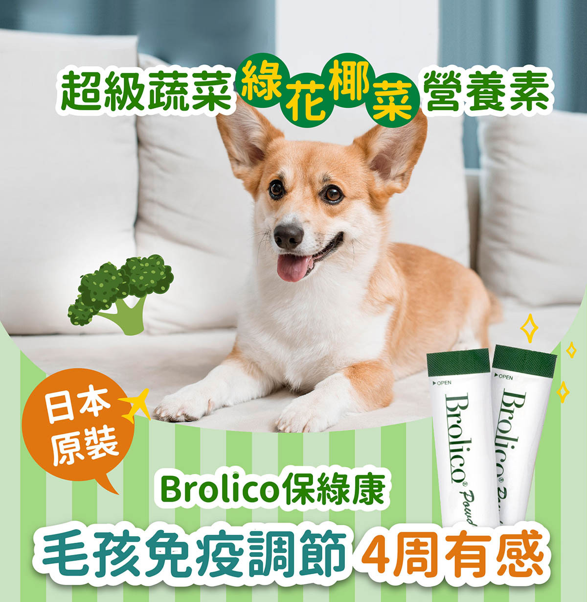 寵物保健免疫力