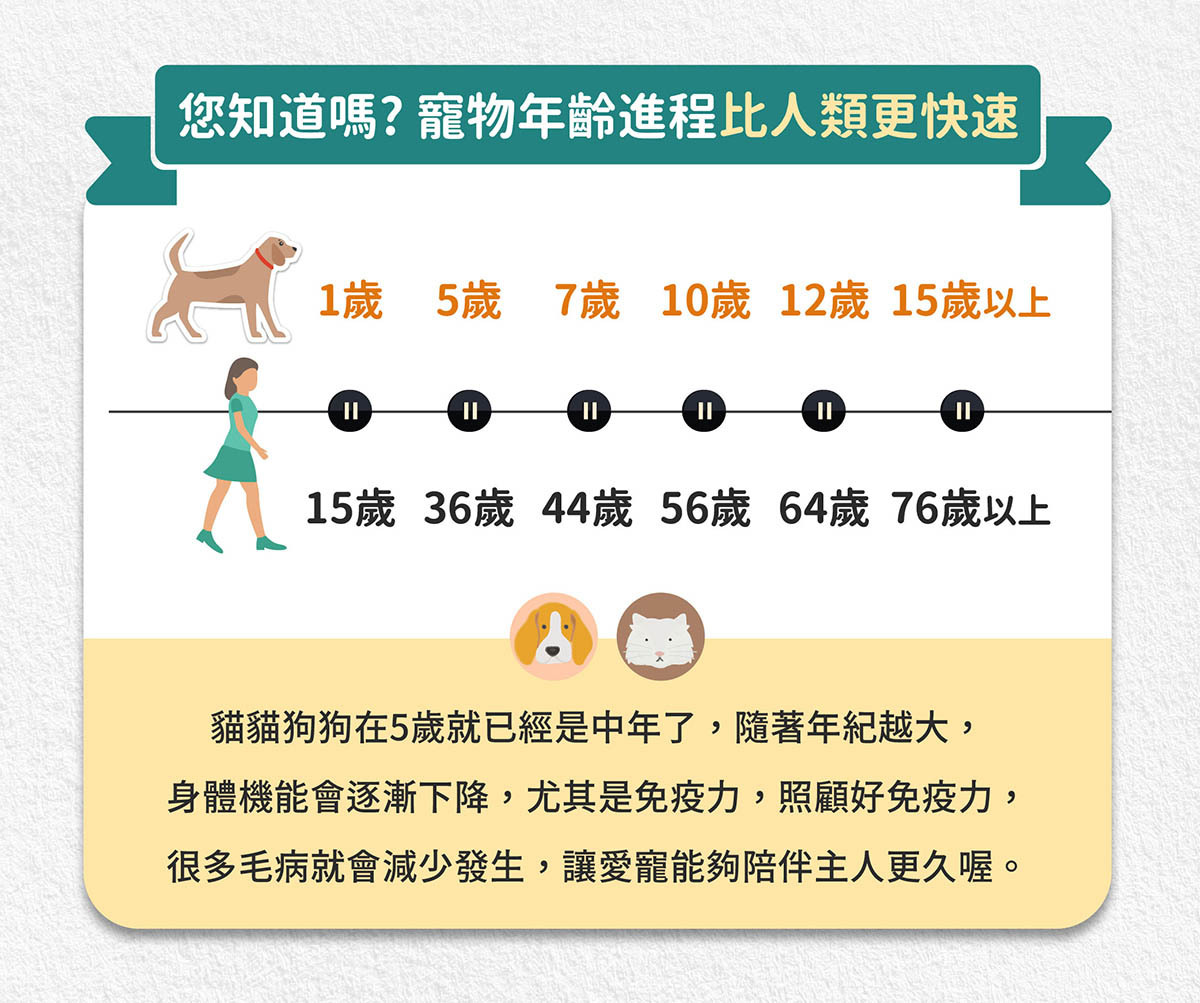 寵物保健免疫力