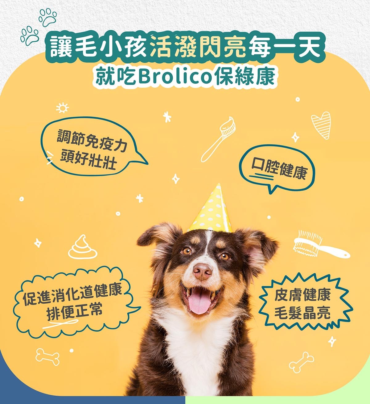 寵物保健免疫力