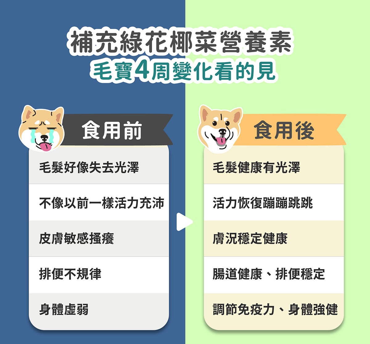 寵物保健免疫力