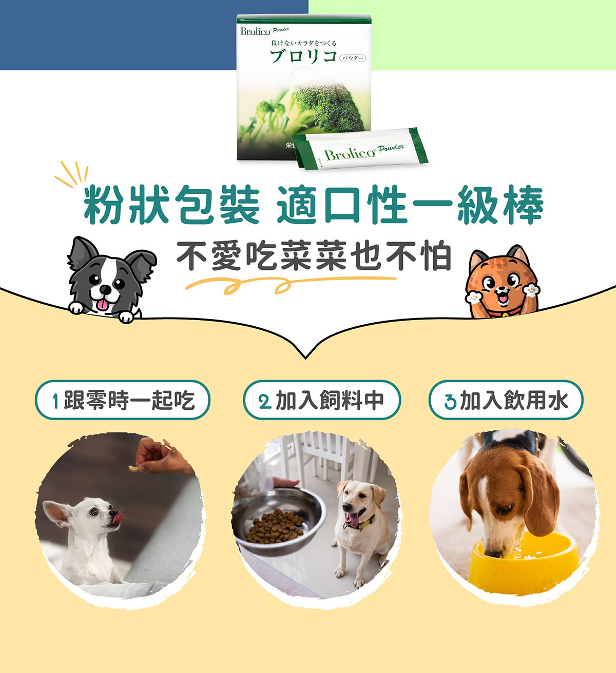 寵物保健免疫力