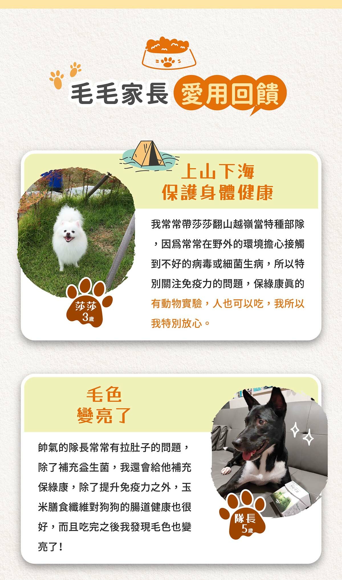 寵物保健免疫力