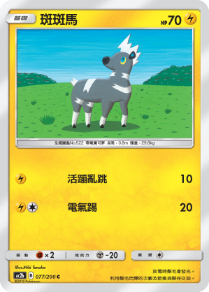 AC2BF 077/200 斑斑馬