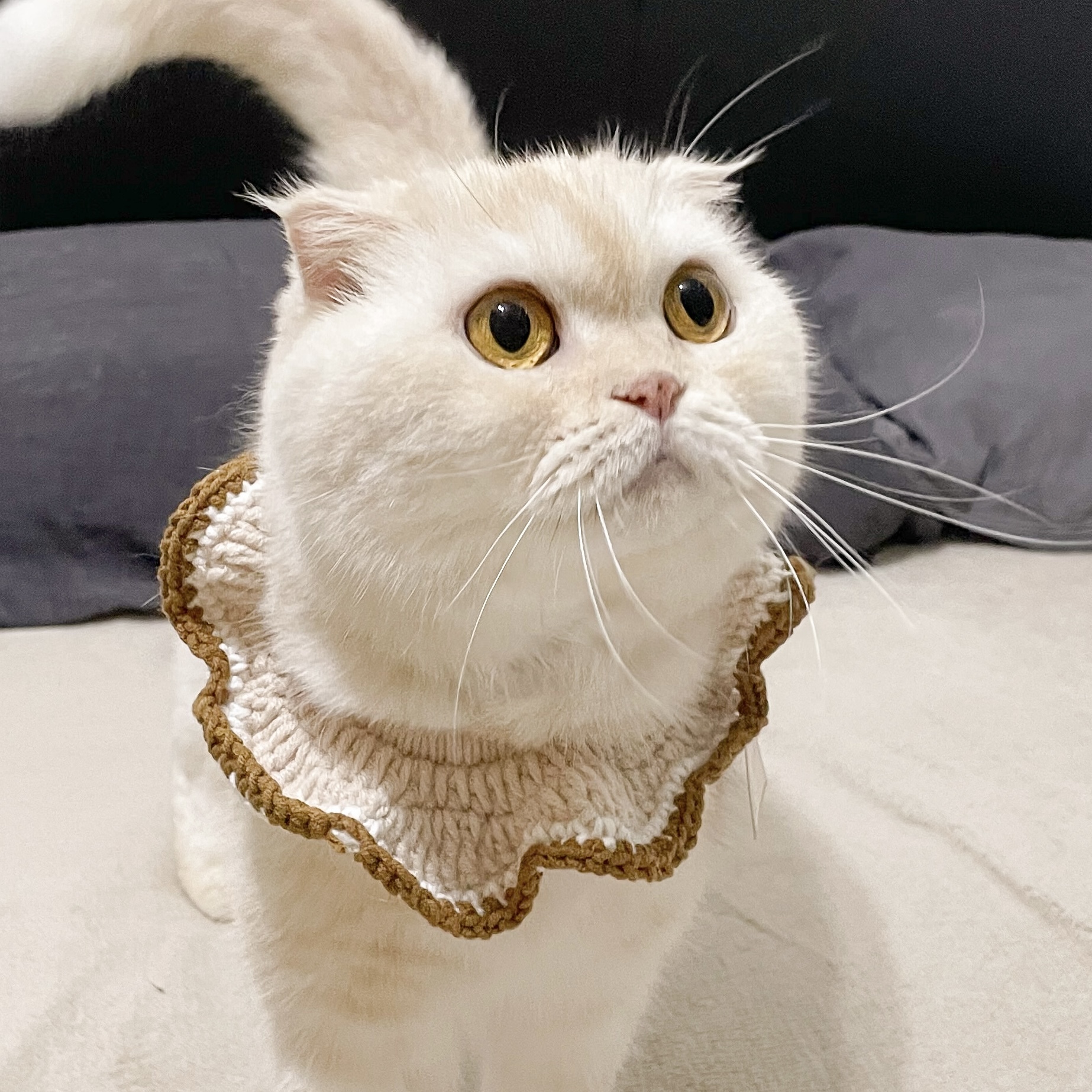 花花領巾｜牛奶系列